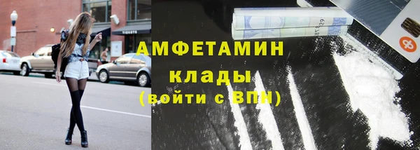 МДПВ Бородино