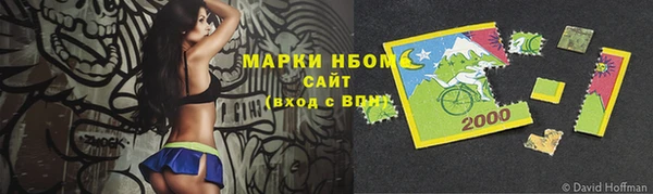 МДПВ Бородино