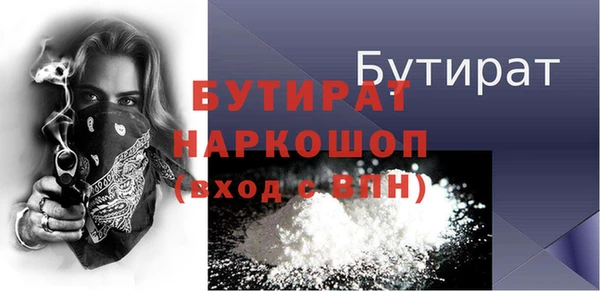 МДПВ Бородино