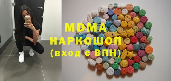 МДПВ Бородино