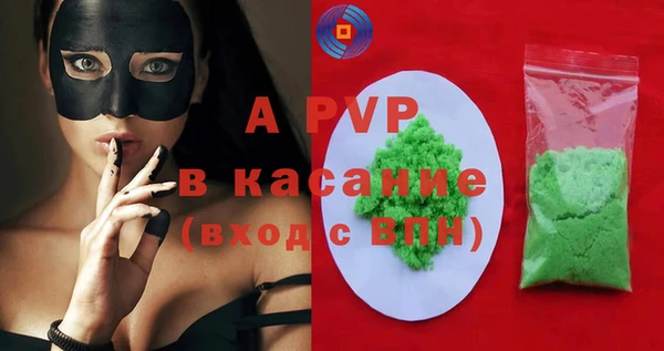 МДПВ Бородино