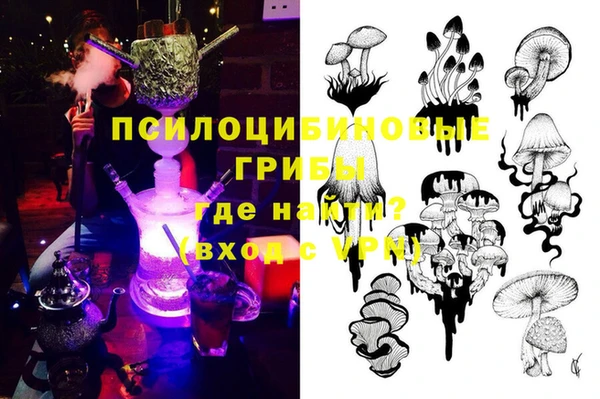 МДПВ Бородино