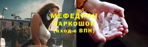 МДПВ Бородино