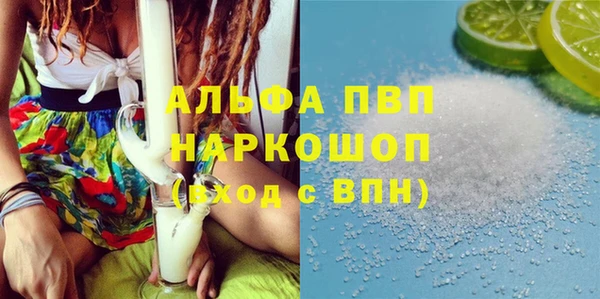 МДПВ Бородино