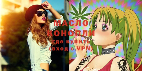 МДПВ Бородино