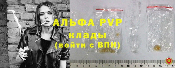 МДПВ Бородино
