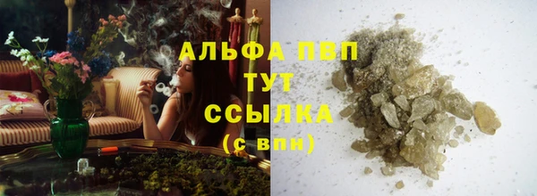 МДПВ Бородино