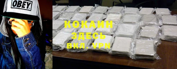 МДПВ Бородино